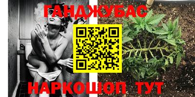 каннабис Будённовск